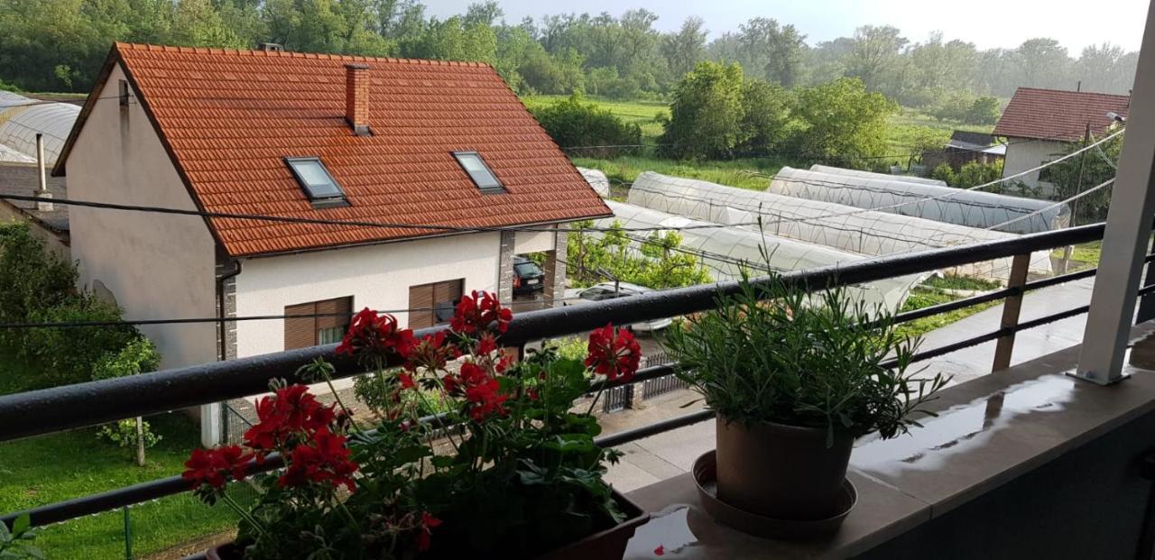Apartment Arina Zagreb