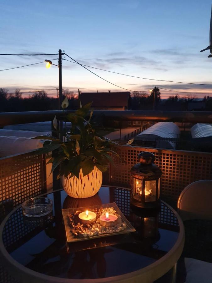Apartment Arina
